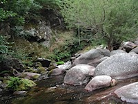 rivier