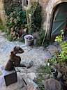 Vue sur la porche