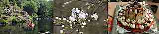 zomer6-3_textmedium