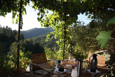 terasse sous la vigne